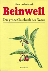 Beinwell