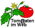Tomaten im Web